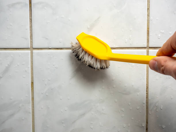 Best Professional Mold Removal  in Harrogate, TN