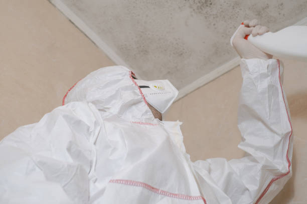 Best Mold Testing  in Harrogate, TN