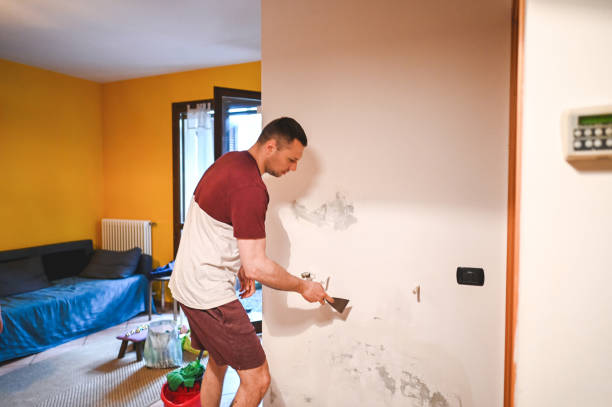 Certified Mold Removal in Harrogate, TN